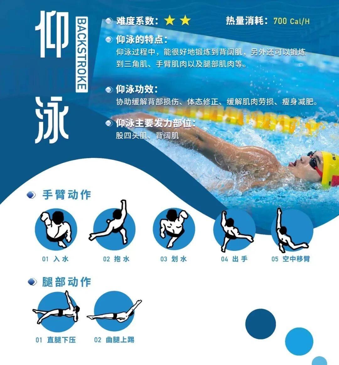 米兰体育:游泳的技术与技巧，顶尖选手的训练秘诀的简单介绍