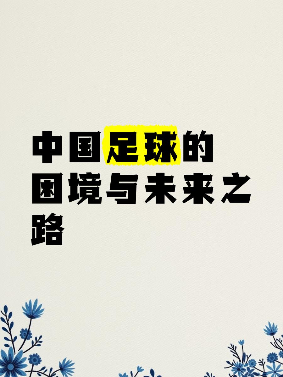 米兰体育:中国足球联赛商业化运营的挑战与机遇：基于新制度经济学的简单介绍