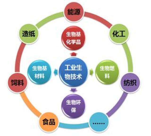 关于米兰体育：CBA选秀潜力股深度剖析：技术特点与发展前景的信息