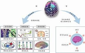 包含米兰体育:费南多：伤病康复的科学方法与心理重建：案例分析与经验总结的词条
