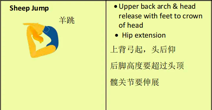 米兰体育:平衡与协调，体操选手的训练要求