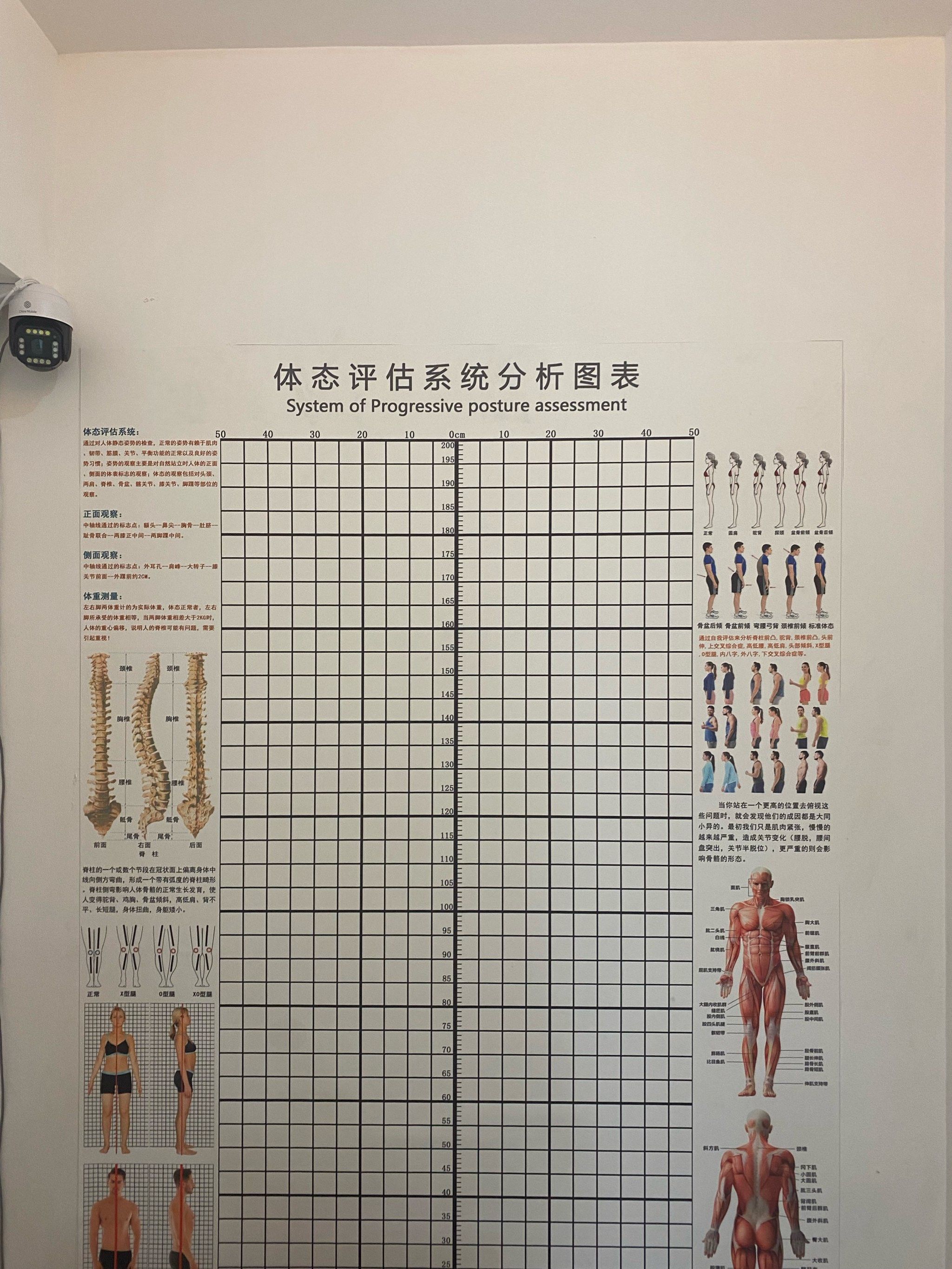 包含米兰体育：运动员的身体与心理：如何平衡竞技与健康的词条